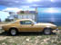 1974 Camero Type LT